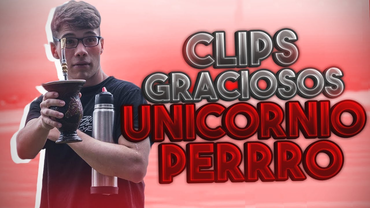 Clips GRACIOSOS de UNICORNIOPERRRO