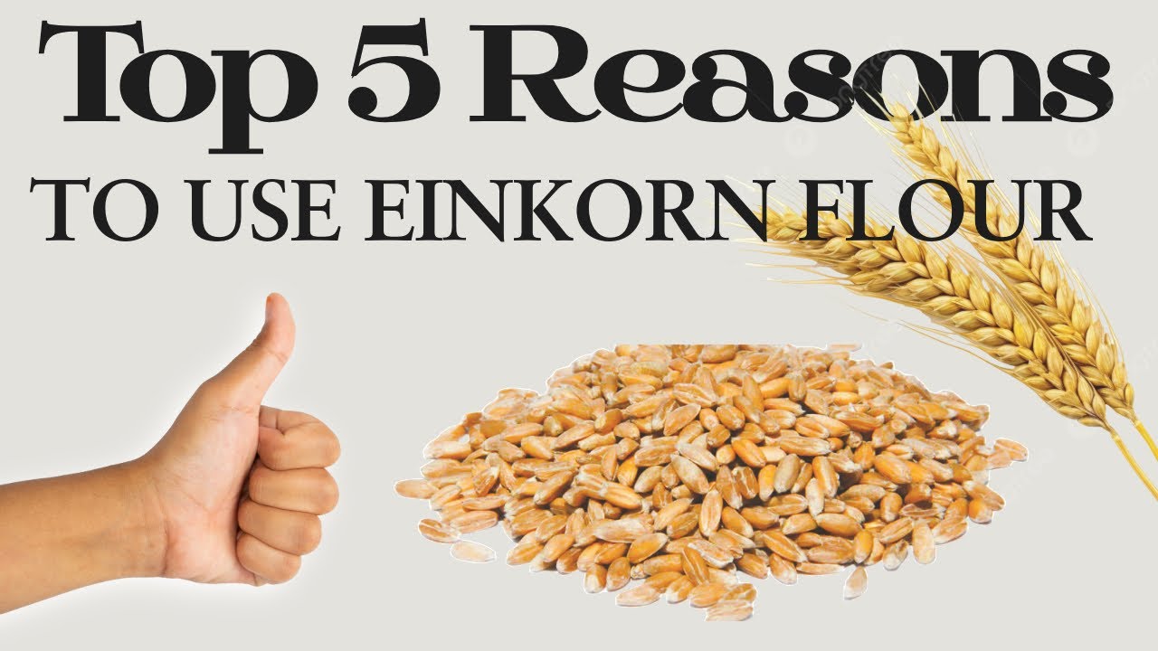 Top 5 Reasons to Use Einkorn Flour (Ancient Grain with Modern Benefits)