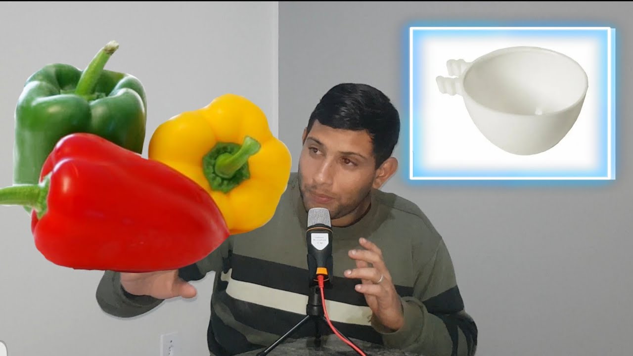 COMO DEIXAR SEU TIZIU (MALUCO) ! Carlos dos pássaros