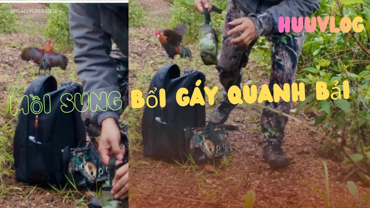 Bẫy gà rừng gặp trời mưa 4/3/2026 
