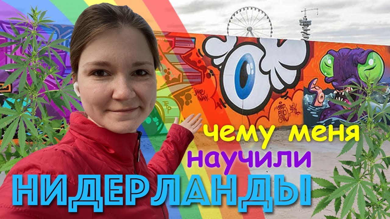 5 вещей, которым меня научили Нидерланды 🇳🇱