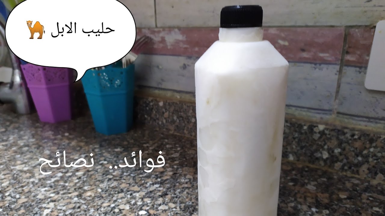 فوائد حليب الإبل و طريقه تخزينه 🐪 ⁦❤️⁩
