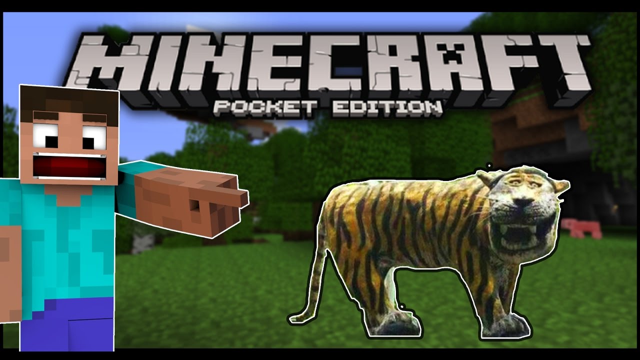 BINATANG BARU MACAN CISEWU - MCPE TIGER ADDONS