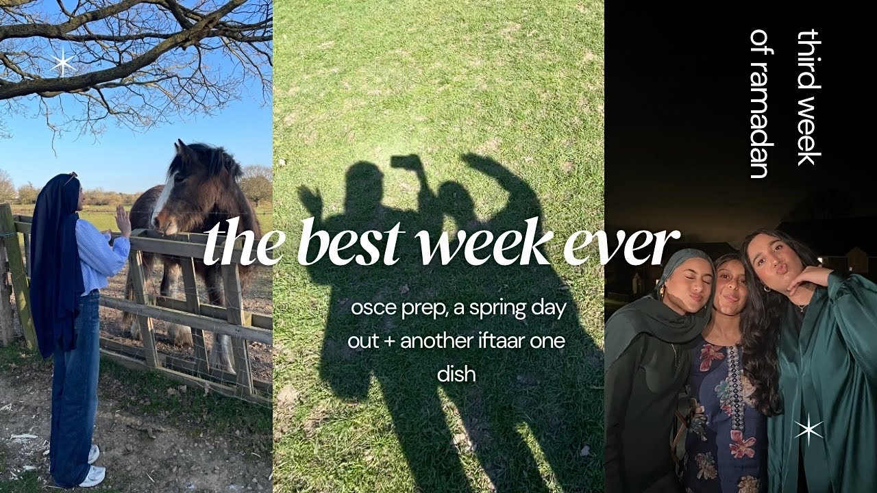 osce prep, a spring day out & another iftaar one dish
