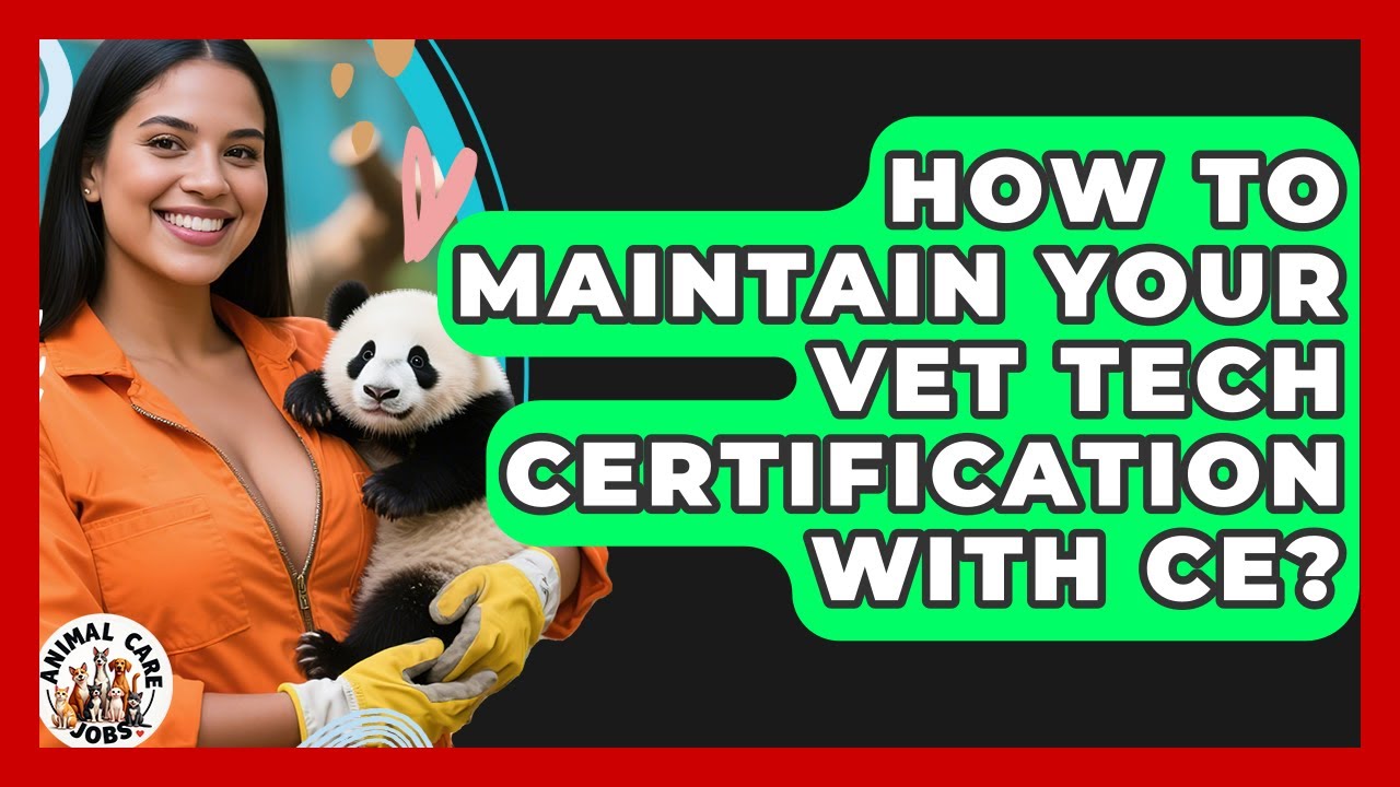 How To Maintain Your Vet Tech Certification With CE? - Animal Care Jobs