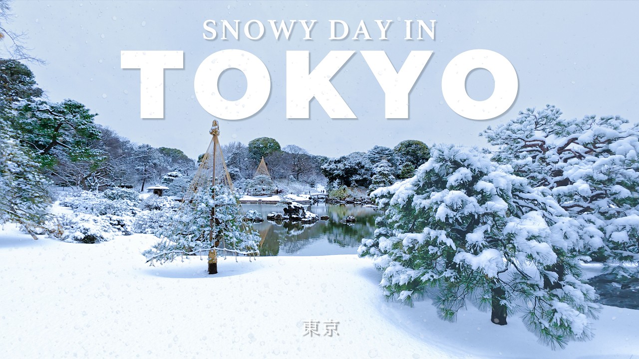 Welcome to a Beautiful Snowy Japanese Garden in Tokyo ❄️🇯🇵