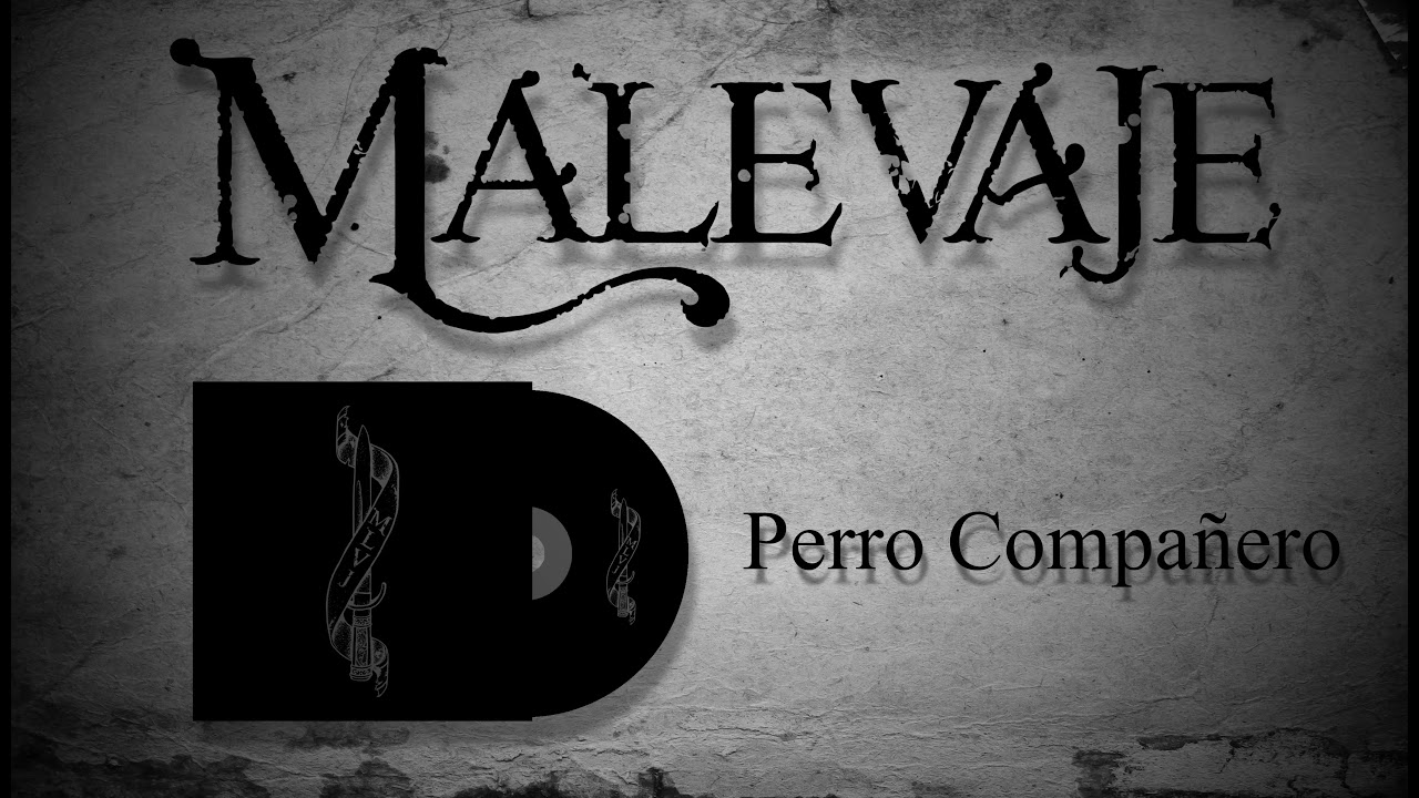 MALEVAJE - Perro compa&ntilde;ero.