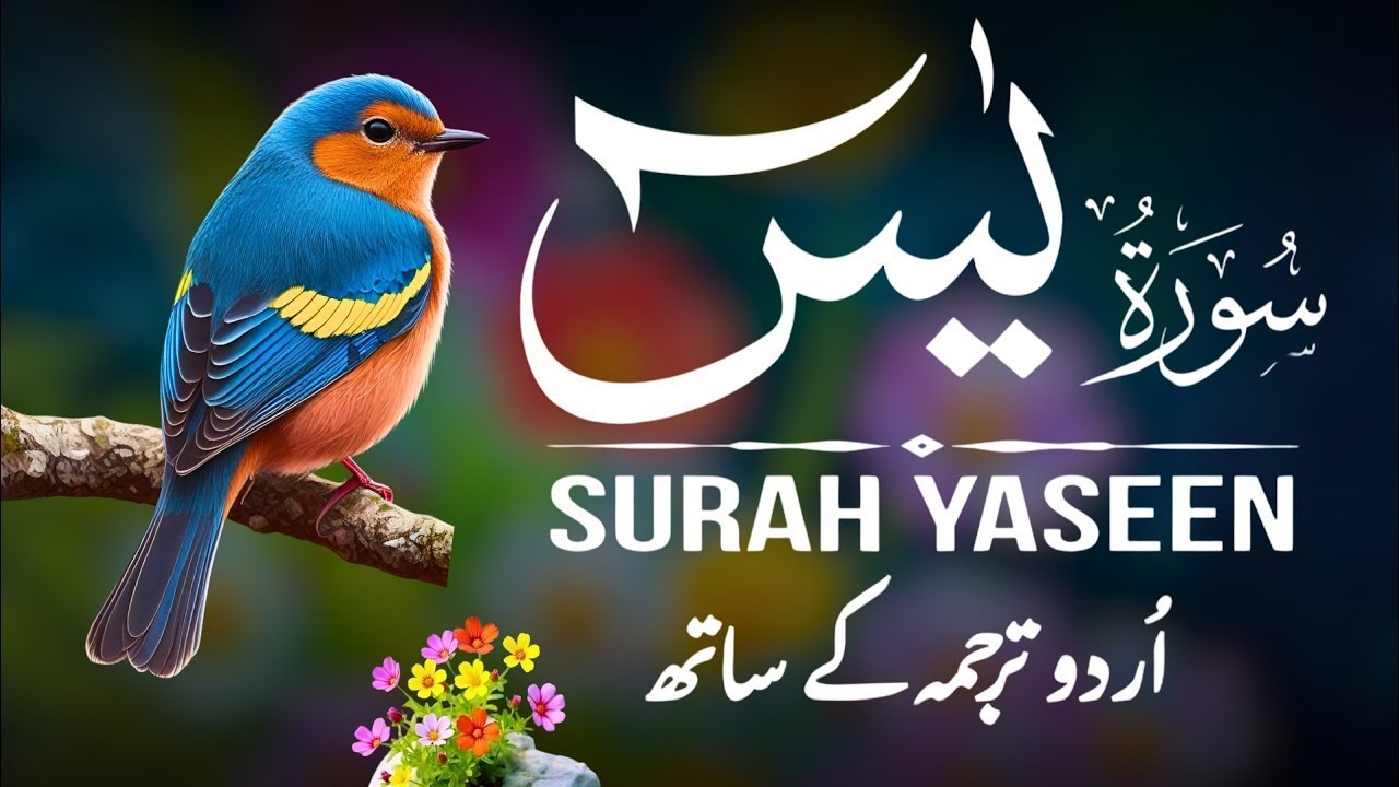 Surah Yaseen | Surah Yaseen With Urdu Translation | Al Furqan Studio | Ep066