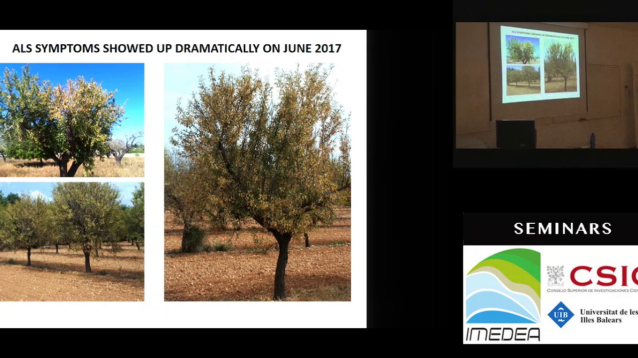Reconstruction of the first outbreak of Xylella fastidiosa in Europe