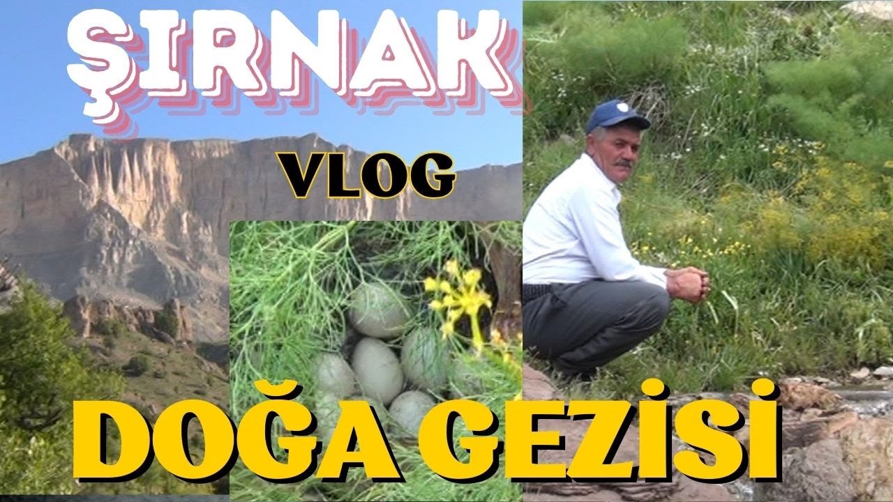 SALTAN AİLESİ YILLIK YAYLA GEZİLERİ (BEHRA HINCE 2024)