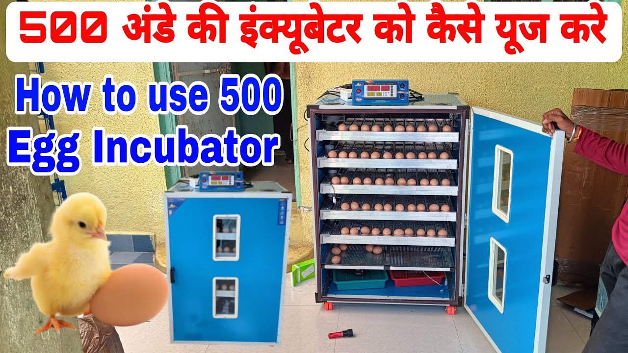 500 अंडे के इंक्यूबेटर को कैसे यूज करे | how to use 500 egg incubator | 7385137018,   7385247018