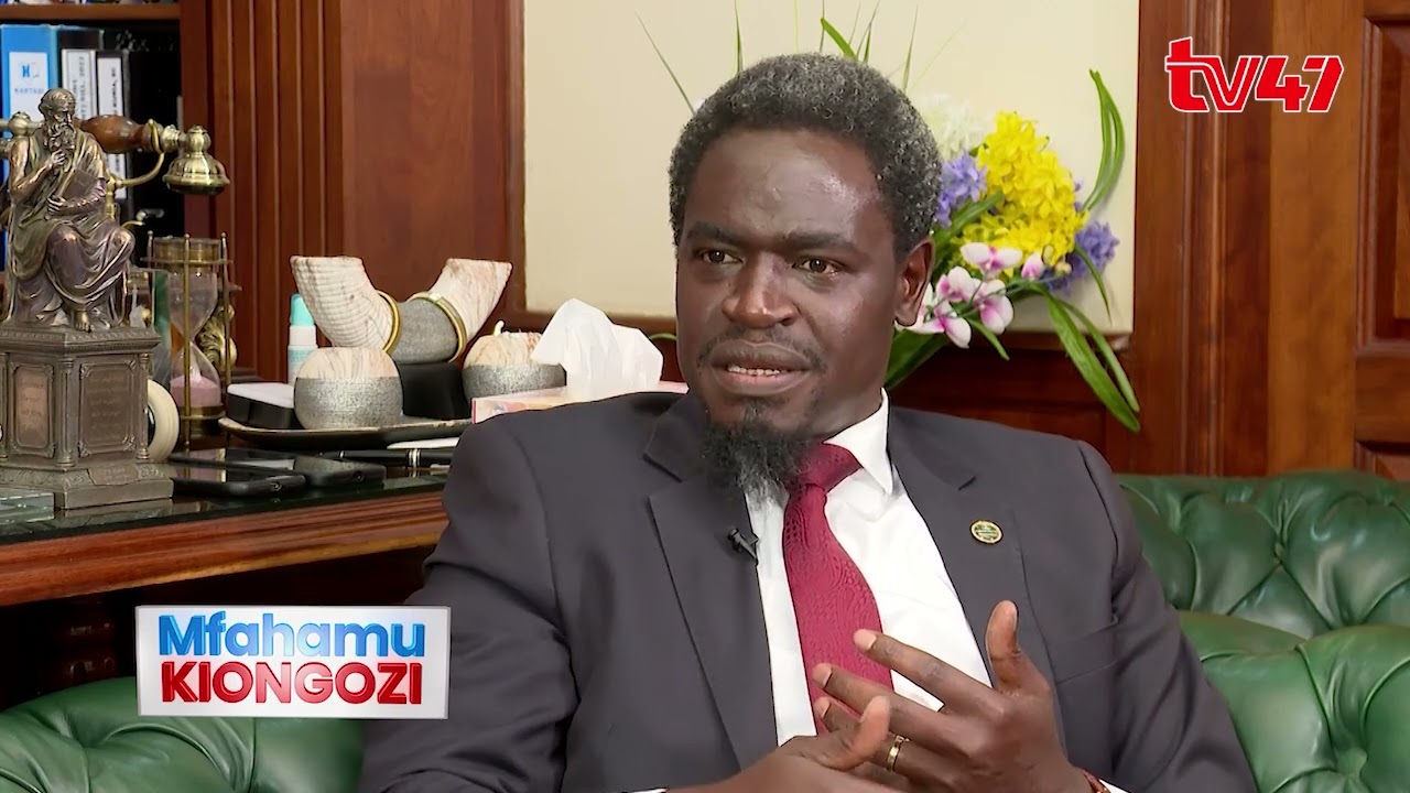 Havi on Parliament: They are effeminate, they don't have the IQ to be  legislators #mfahamukiongozi