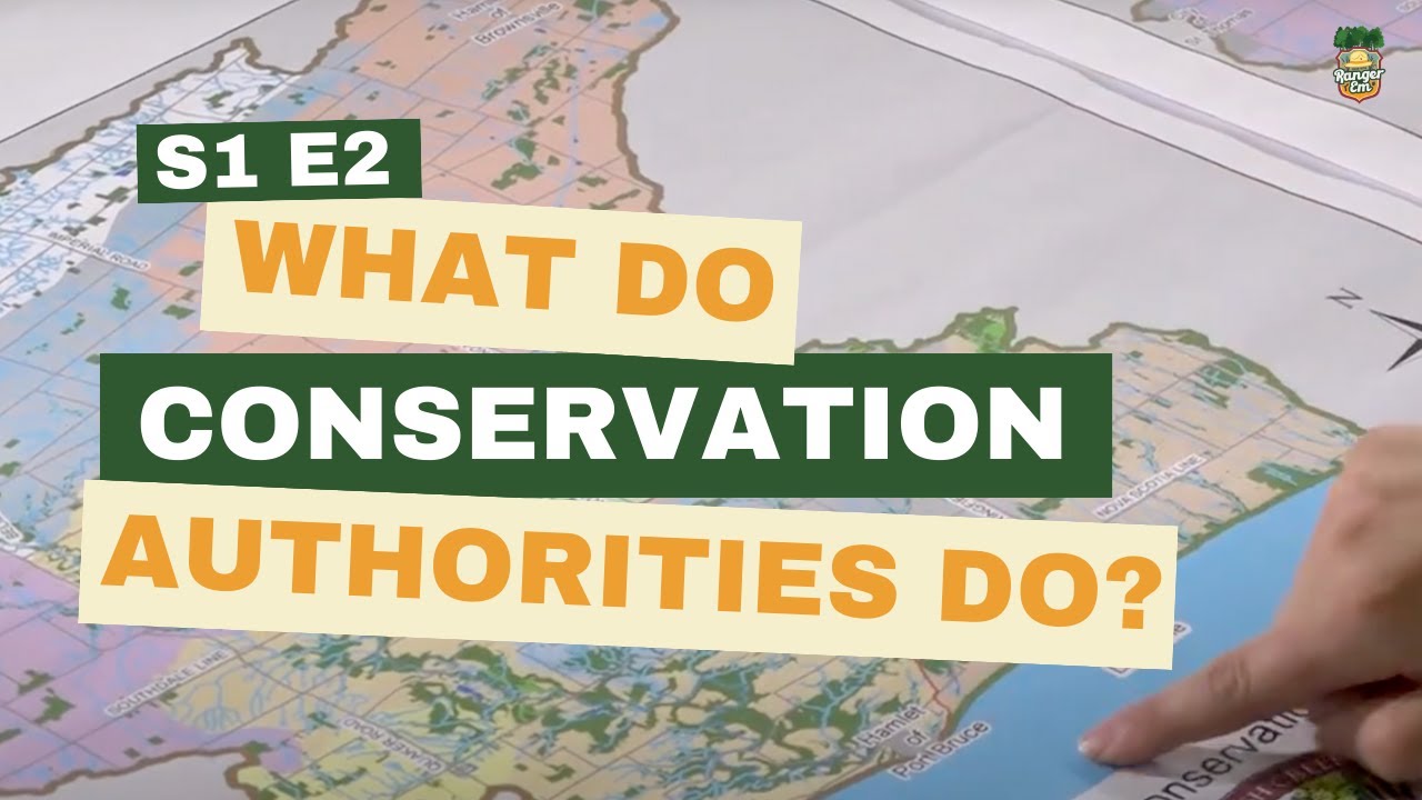 Learn with Ranger Em | S1 E2: What do Conservation Authorities do?