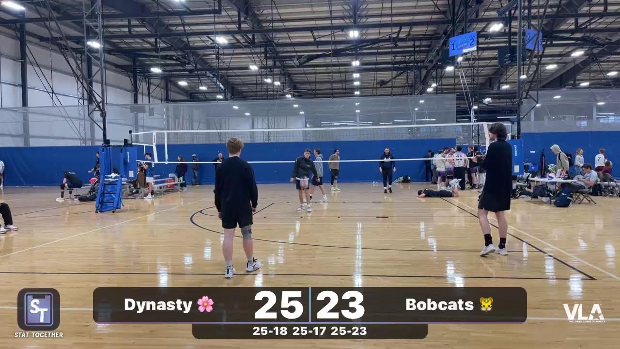 Dynasty 🌸 vs Bobcats 🐯