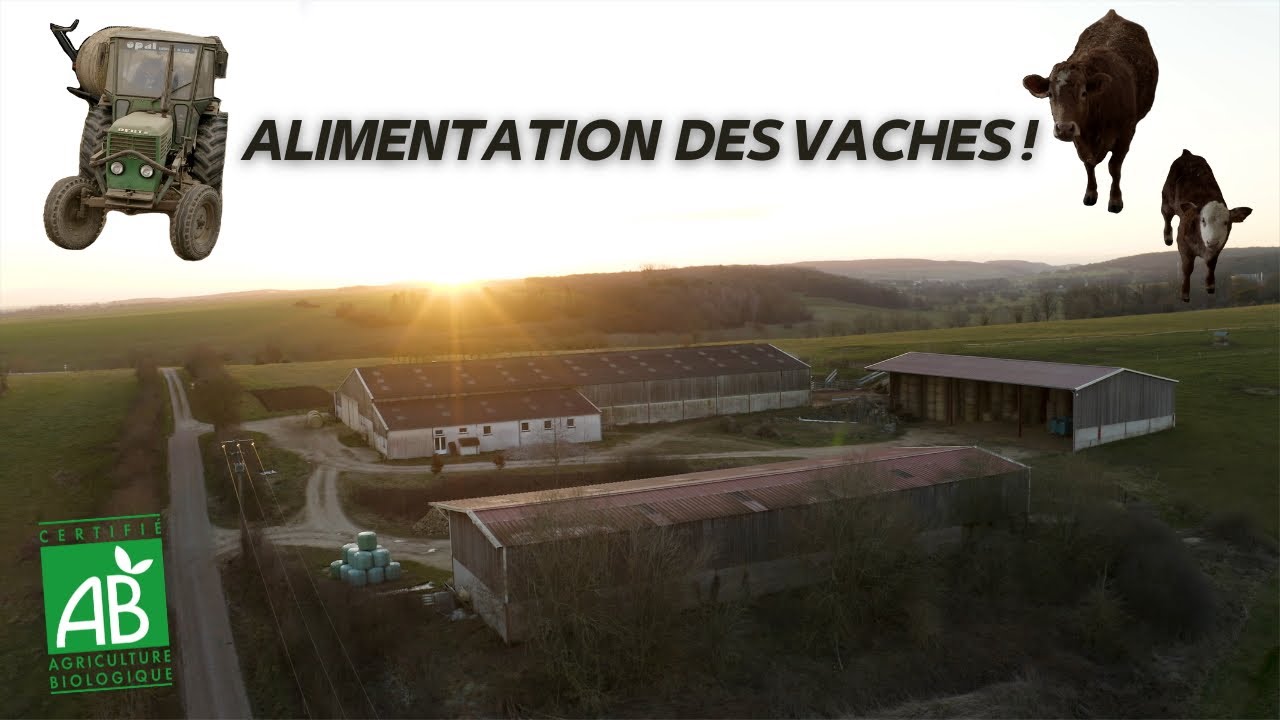 Alimentation Des Vaches !🐮|Paillage|Distribution (Foin,Enrubannage)☘️