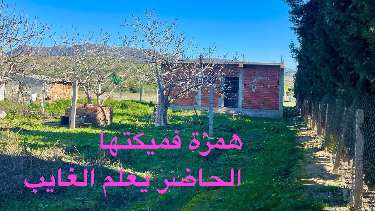 هميزة فميكتها دار وغرسة راءعة مساحة600متر كاين بير  واصل الماء والكهرباء0703640826نواحي الخميس انجرة