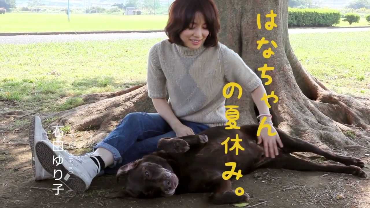 『はなちゃんの夏休み。』はこんな本です。