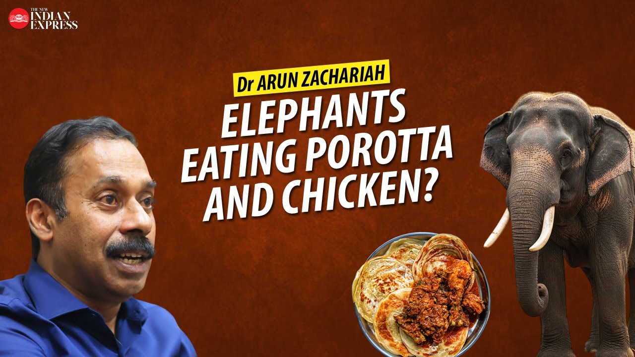'Elephants really like the taste of salt' - Dr Arun Zachariah | Interview | Elephants | TNIE Kerala