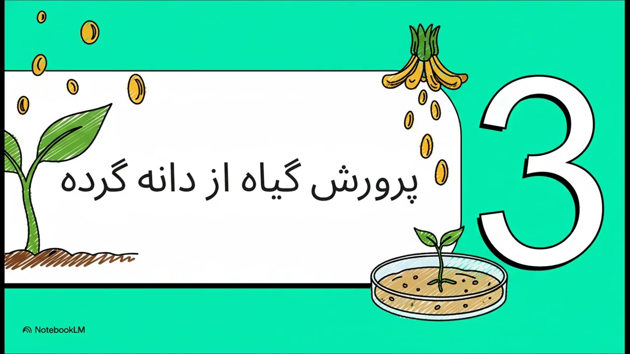 کشت بساک  راز تولید «ابرمحصولات»