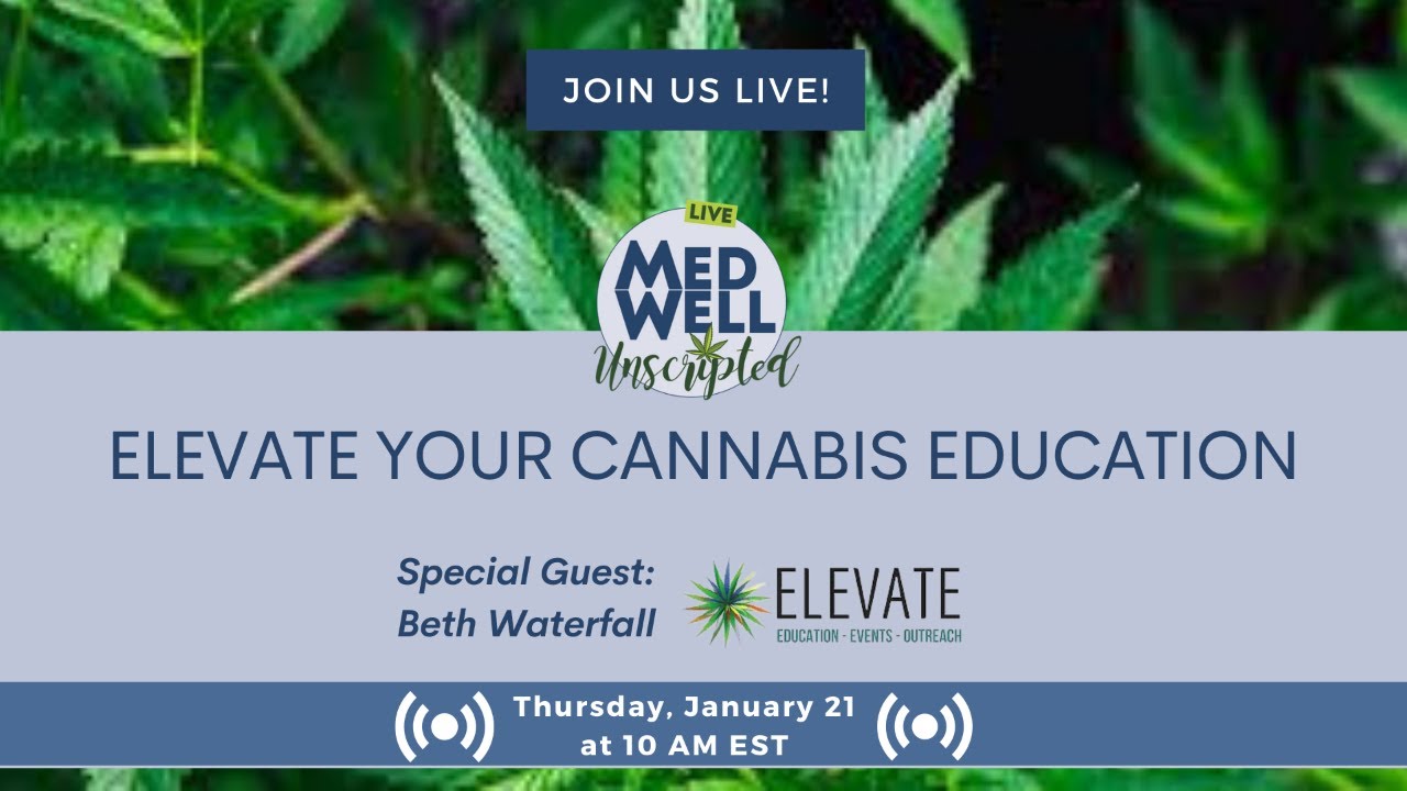Elevate Your Cannabis Education