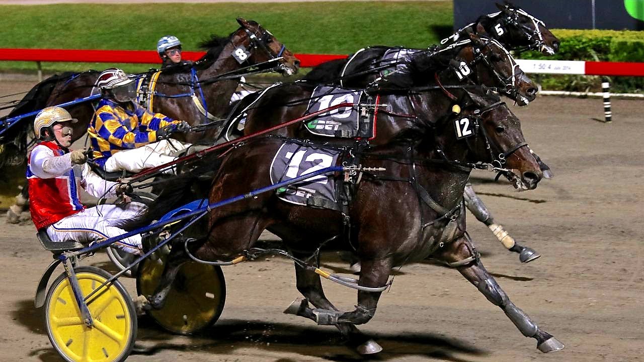 2017 UBET Blacks A Fake Queensland (G1) 2680M Albion Park Australia : Hectorjayjay (1:56:1)