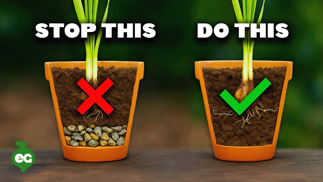 STOP Putting Gravel At The Bottom Of Your Pots!