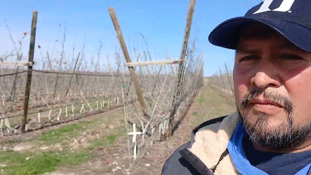 Aquí dando una vuelta por los files 