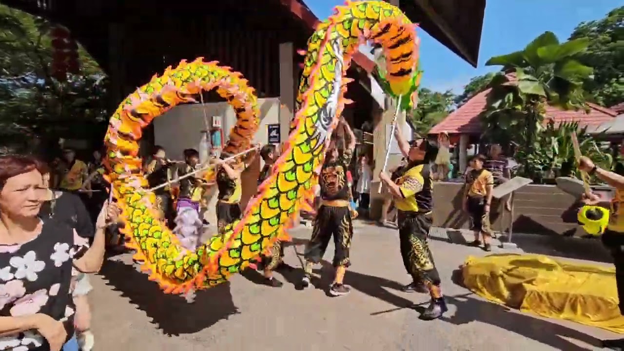 Ri Hing Lion & Dragon Dance Training Centre @ East Coast Food Lagoon Hawker Centre 18 Feb 2024