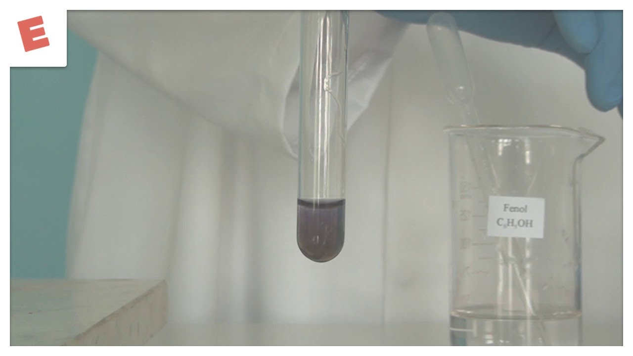 EDUCHEMLAB - Wykrywanie fenolu - EKSPERYMENT #12