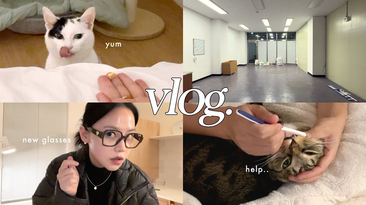 정든 사무실 안녕...🪽 뉴 안경👓 돌아온 핑크 두더지🩷 줄기세포 2차🏥 vlog