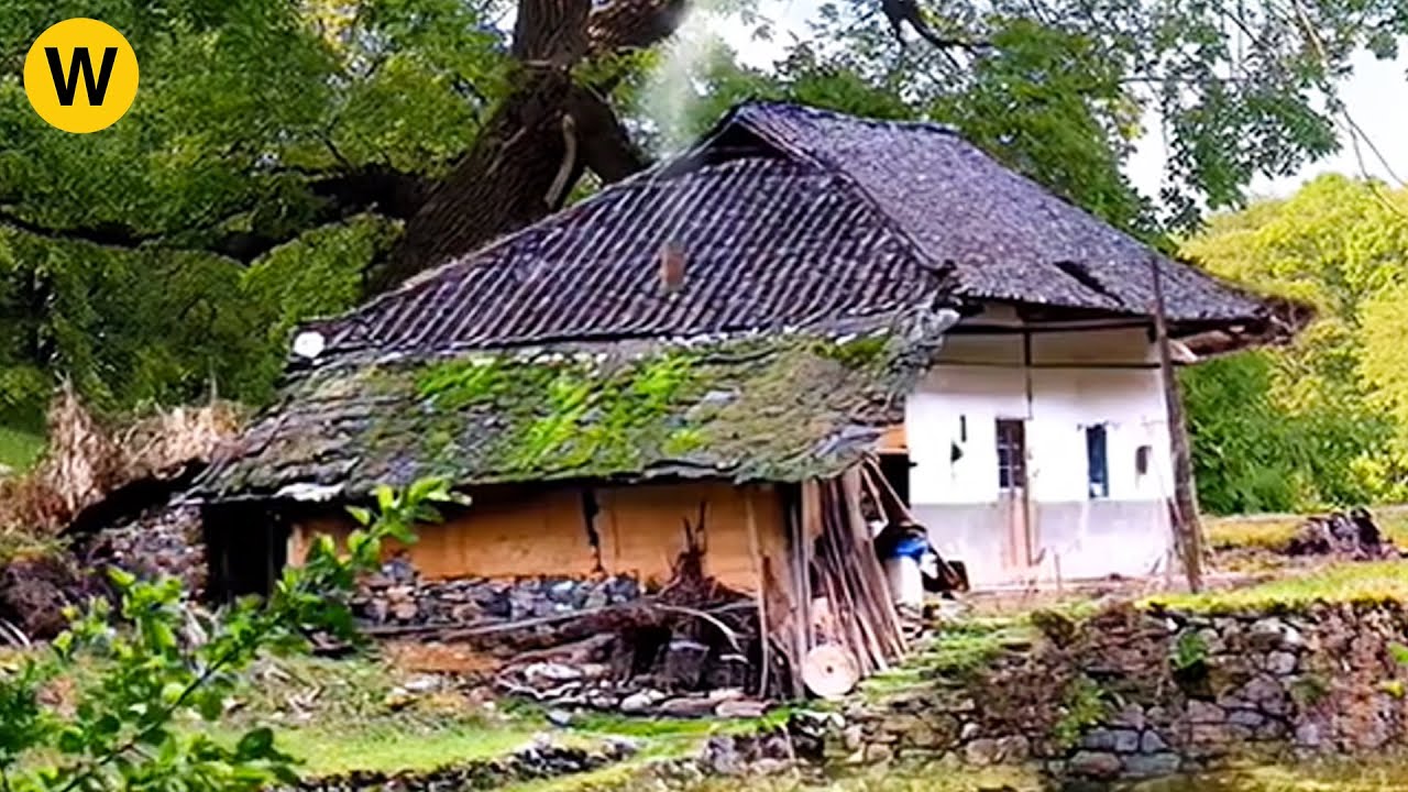 Being kicked out by his stepfather, the boy and his uncle renovated the old house in the countryside