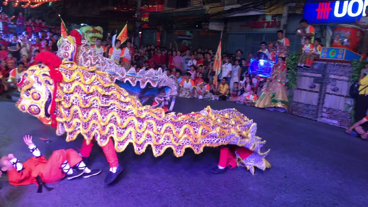เสือไหหนำ ตรุษจีน นครสวรรค์ แห่กลางคืน 2562