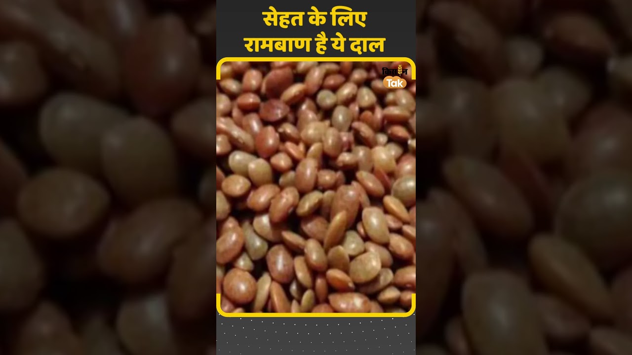 Kulthi Dal: शरीर में हो रही है कमजोरी, तो अपनी डाइट में शामिल करें ये दाल | #Shorts| Kisan Tak