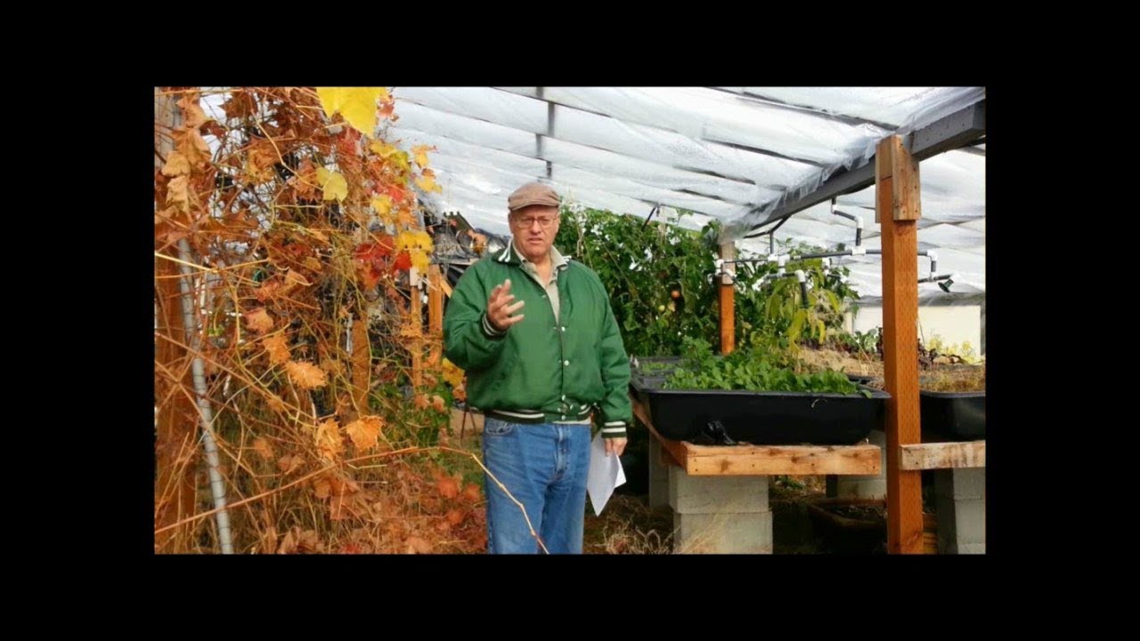 What it takes to heat a winter greenhouse
