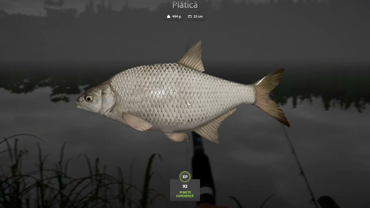 Russian Fishing 4 2026 PLATICA SI GHIBORT