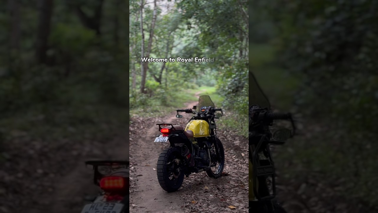 🫴🏻💛#rehimalayan