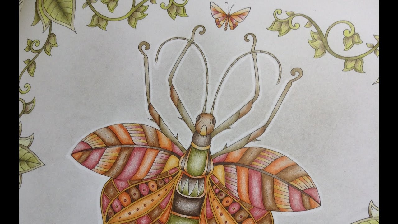 MAGICAL JUNGLE - part 2 - prismacolor pencils