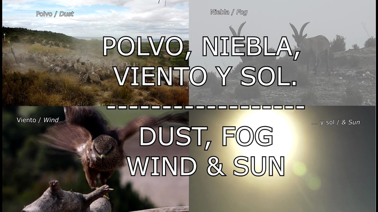 POLVO, NIEBLA, VIENTO Y SOL