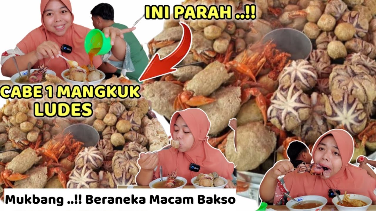 CABE 1 MANGKUK LUDES ‼️ MUKBANG Beraneka Macam Bakso - Mafia