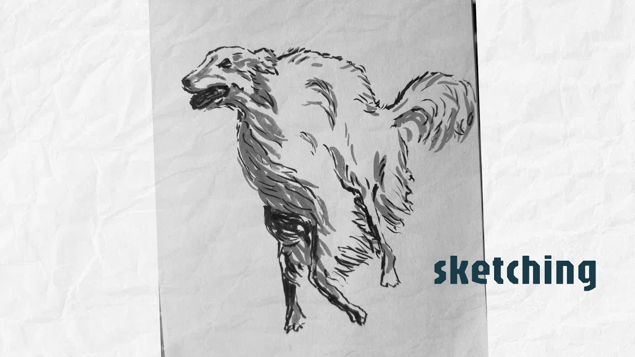 Brush pen sketching: Borzoi Dog