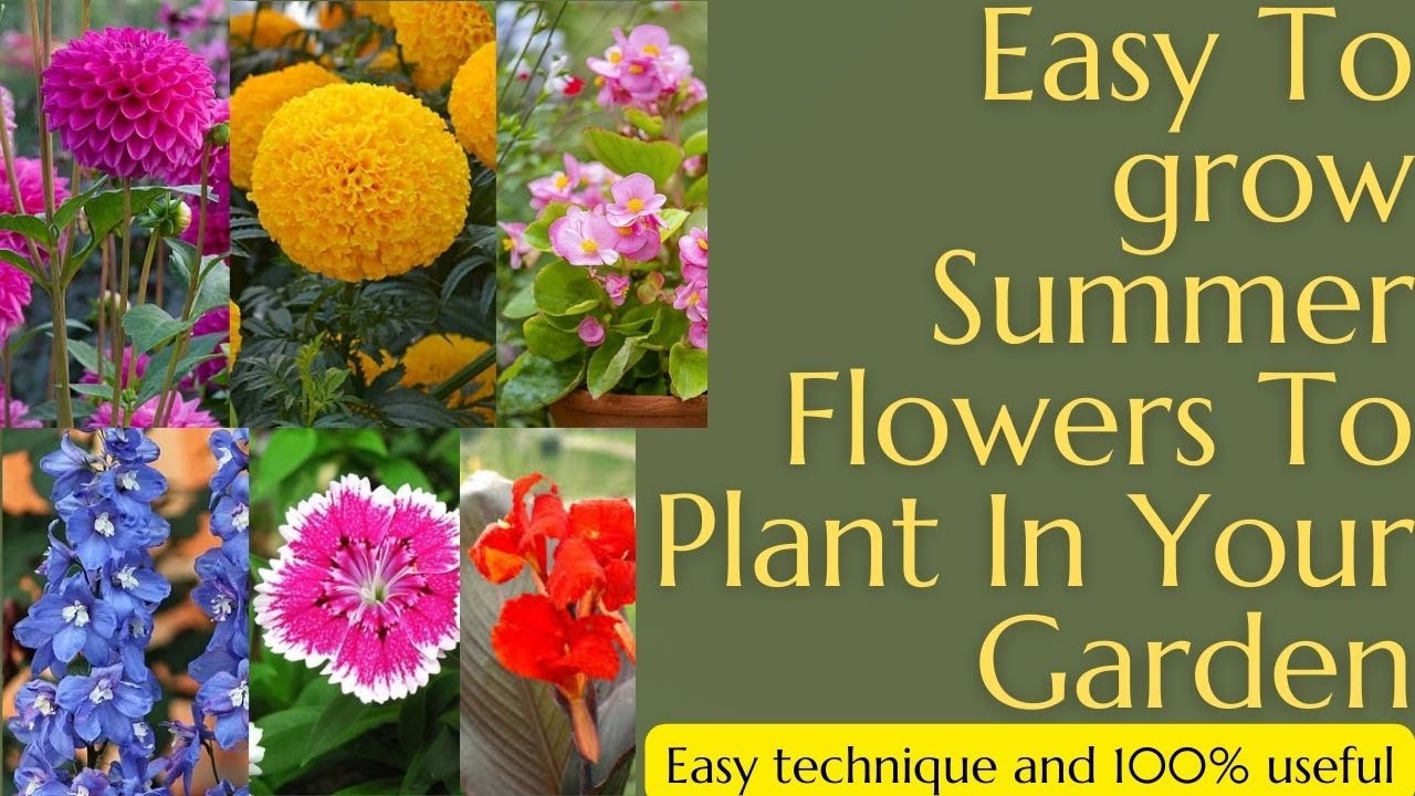 Best Summer Flowers /Summer Flowers name/Early Summer Flowers/Spring Flowers/ land of ideas