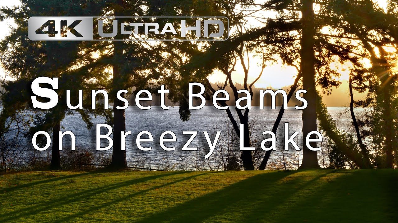 Calming Sunset Beams Over a Windy Lake | 4K Relaxing Wind Sounds in Nature Binaural ASMR