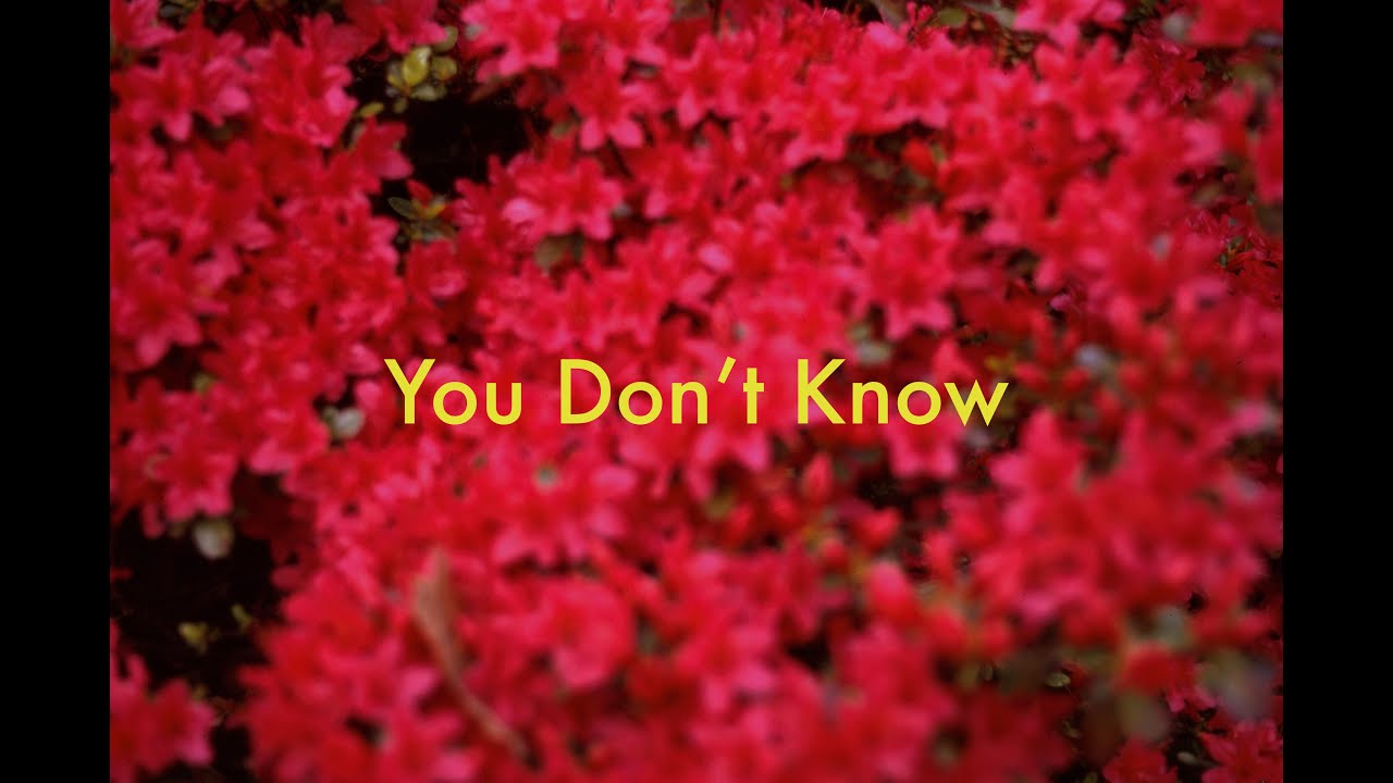 Chris Fletcher - You Don't Know (Audio)