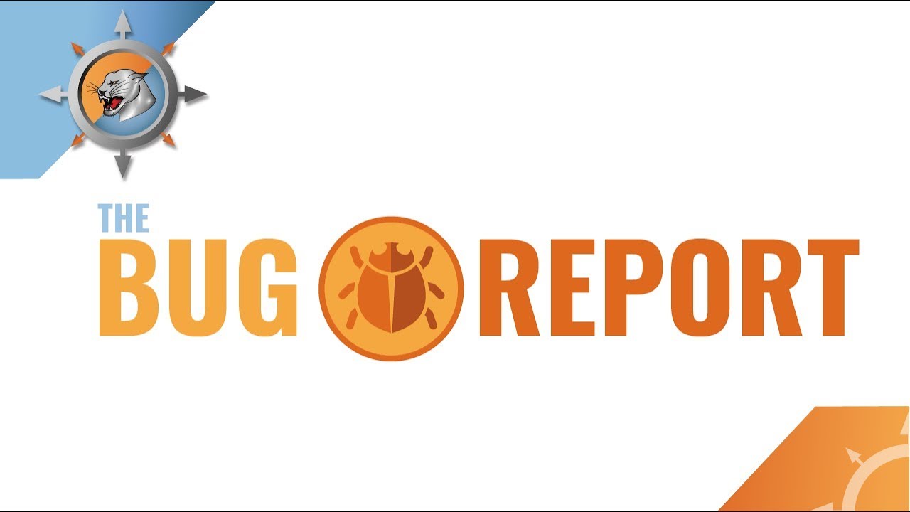 The Bug Report