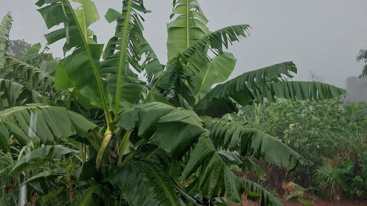 Chuva muito forte
