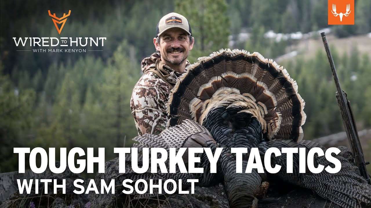 Tough Turkey Tactics with Sam Soholt | Wired to Hunt Ep. 892