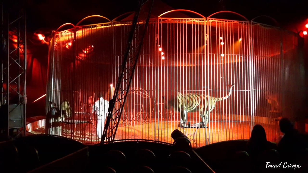 Cirque a la vigie Strasbourg  02/04/2017