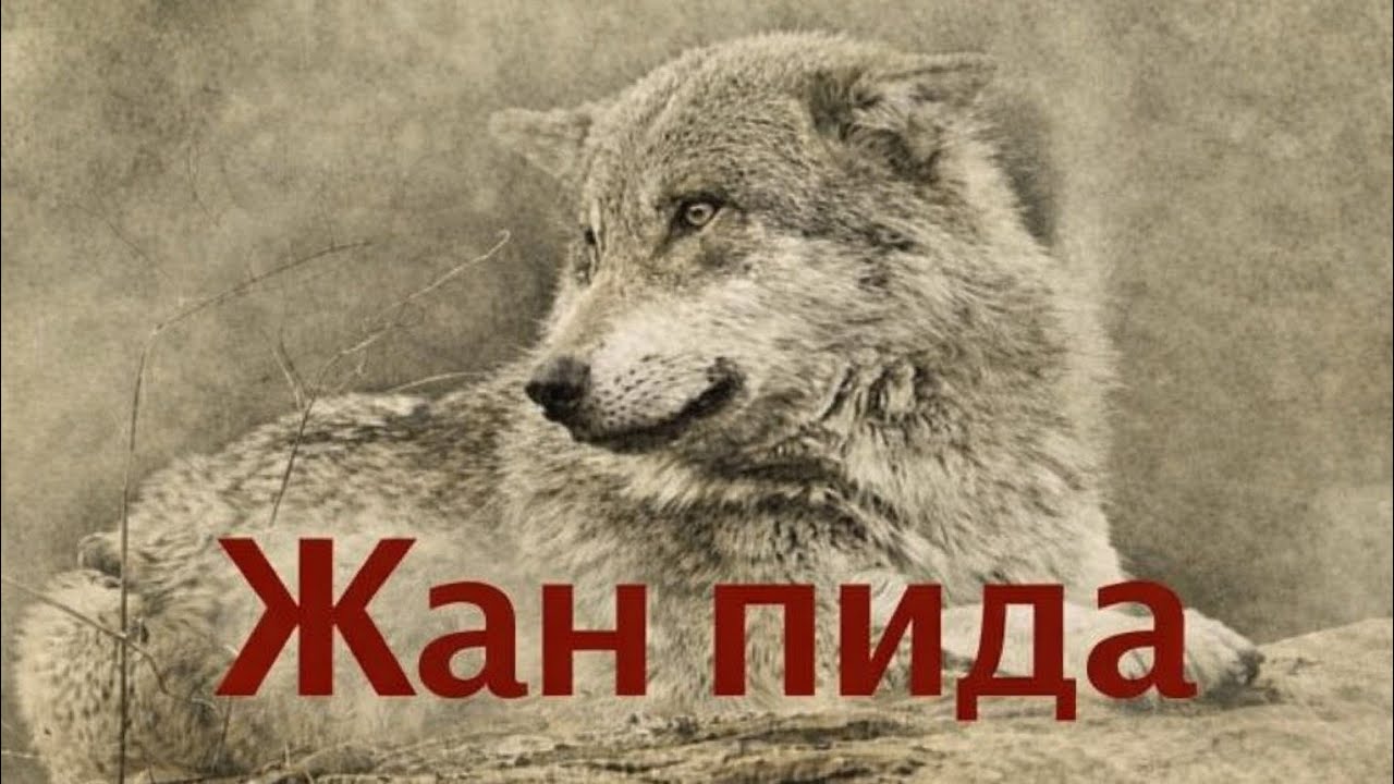 Жан пида Шыңғыс Айтматов кітап туралы видео 