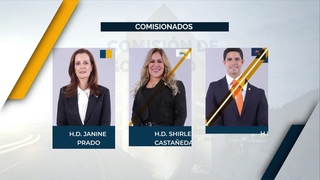 COMISION DE GOBIERNO, JUSTICIA Y ASUNTOS CONSTITUCIONALES