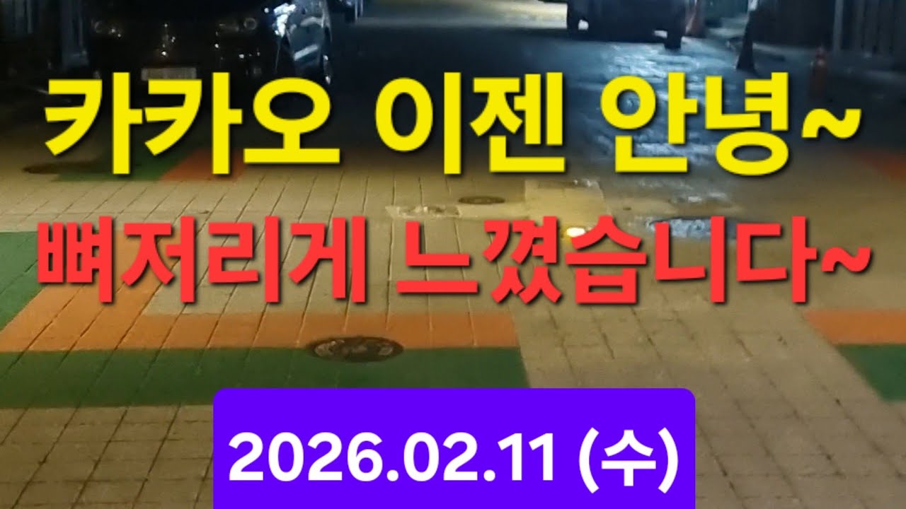 대리운전 카카오대리 티맵대리 일반기사 노예 안할랜다~